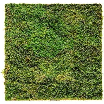 Gardners Mechový panel 50x50 cm z plochého mechu