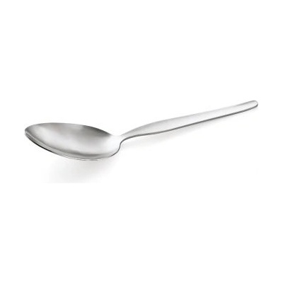 NP80 lžíce na zeleninu Serve 22,5 cm 12 ks