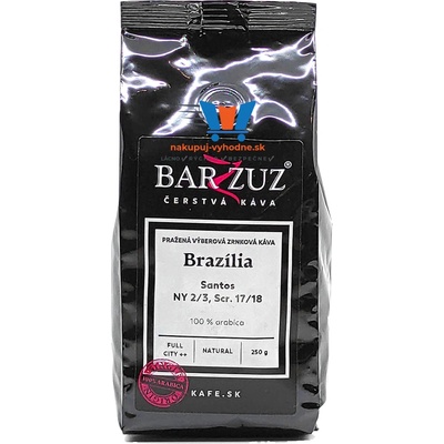 BARZZUZ BRASIL Santos Aquarela NY 2 natural 250 g