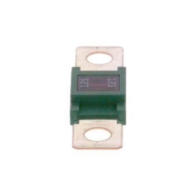Poistka BOSCH 1 987 531 001