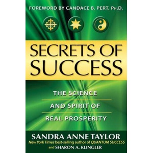 Secrets Of Success (ISBN: 9781401919115)
