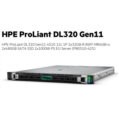 HPE DL320 G11 4510 P80510-425 – Zboží Mobilmania