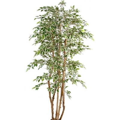 Luxusní umělý strom Ficus Multitree Natasja green/ cream, 180cm