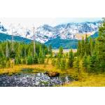 DIMEX ART Флизелинов фототапет лос на поляна 375 x 250 см