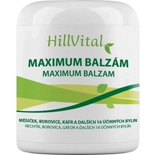 HillVital Maximum balzám na revma a bolest kloubů 250 ml