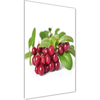 Vertikálny foto obraz sklenený Čučoriedka 50x100 cm