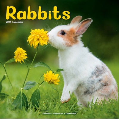 Rabbits Square Animal Wall 16 Month 2026