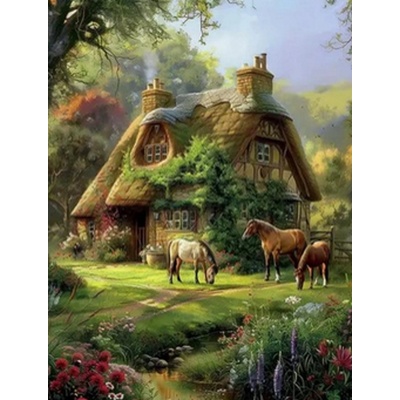 Norimpex Diamantové malování Lesní chata 30 x 40 cm – Hledejceny.cz