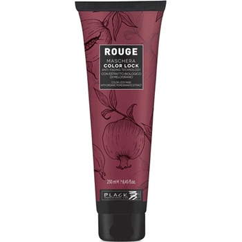 Black Professional Rouge Color Lock Anti-Fade Colour Protection Mask 250 ml