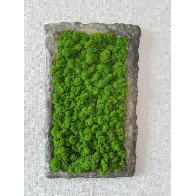 Mechový obraz s atypickým rámem 50 cm x 35 cm
