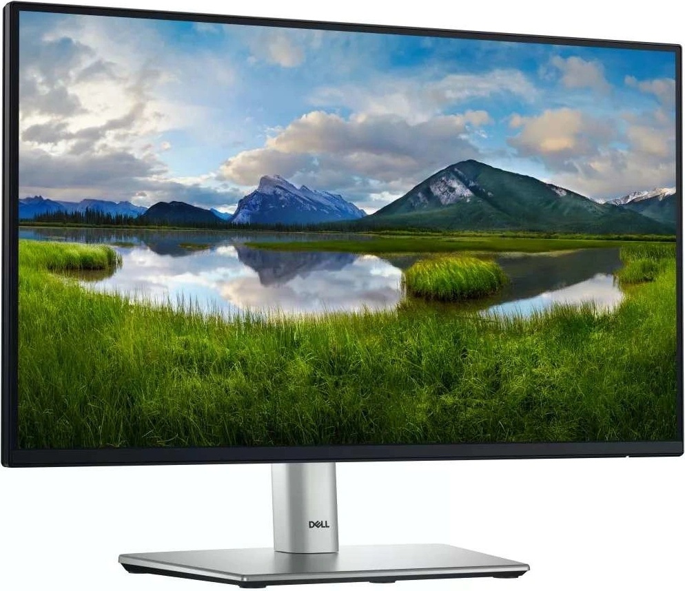 Dell P2225H