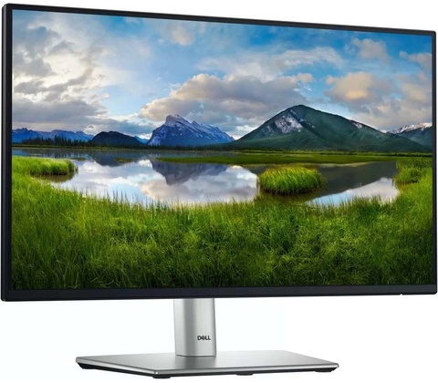 Dell P2225H