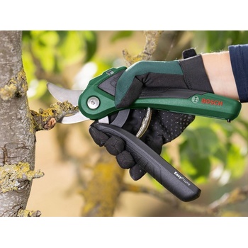 Bosch EasyPrune 0.600.8B2.102