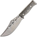 Condor Gryphus Bowie