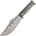 Condor Gryphus Bowie