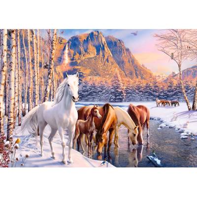 Castorland - Puzzle Winter melt - 500 piese