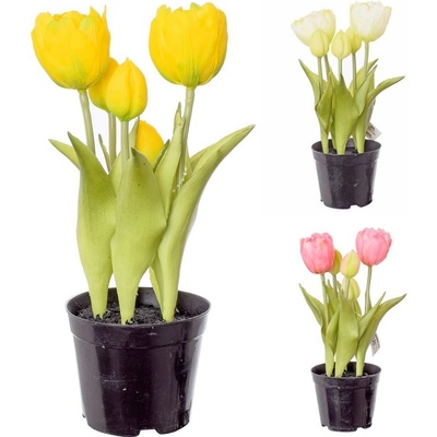 TULIPÁNY V ČREPNÍKU X5 3F 24cm