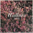 Spring - Wallows LP