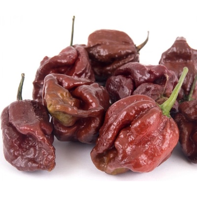 Chilli Trinidad Scorpion Moruga Caramel - Capsicum chinense - semena - 5 ks