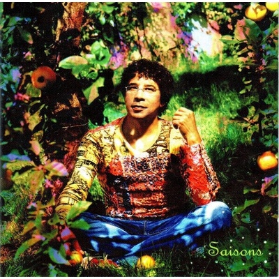 Laurent Voulzy - Saisons, Le Double Best Of (2 CD) (0828765533621)