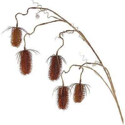 Větev s bodláky převislá HNĚDÁ, dipsacus/štětka planá, 5 bodláků (3x 8cm a 2x 6cm), 118cm