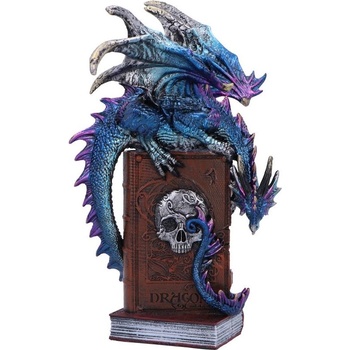 Nemesis Now Статуетка Nemesis Now Gothic: Dragons - A Tale of Dragons Skull Book, 22 cm (U6700A24)