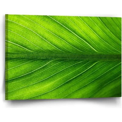 Sablio Obraz List 2 - 60x40 cm