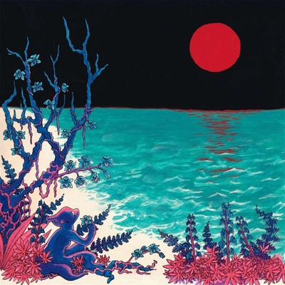 The First Glass Beach Album - Glass Beach LP
