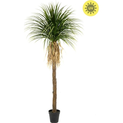Umělá Palma Yucca venkovní, 260cm