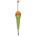 Iron Claw Provider Sail Float 30g