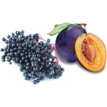 Sentiotec Saunová esencia Elderberry and Plum 100 ml