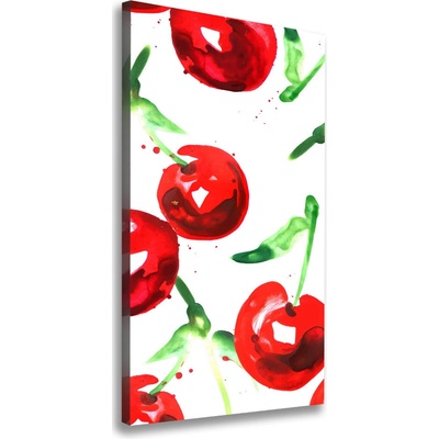 Vertikálny moderný fotoobraz canvas na ráme Višne 50x100 cm
