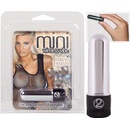 Seven Creations Mini Wireless Vibe