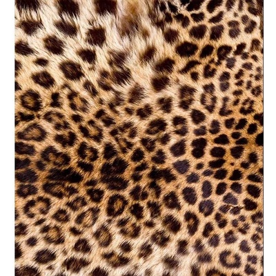 Dimex MS-3-0184 vliesová fototapeta na zeď Leopardí kůže rozměry 225 x 250 cm