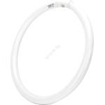 Aigostar Флуоресцентна тръба T9 G10q/40W/230V 6500K - Aigostar (AI2302)