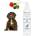 BIOGANCE No Rinse Lotion - почистващ и дезодориращ лосион, без изплакване 250мл