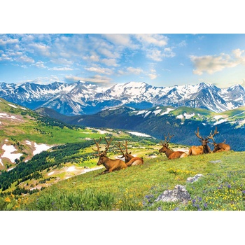 Image 1 of EUROGRAPHICS - Puzzle Mountain Elks - 1 000 piese