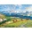 EUROGRAPHICS - Puzzle Mountain Elks - 1 000 piese