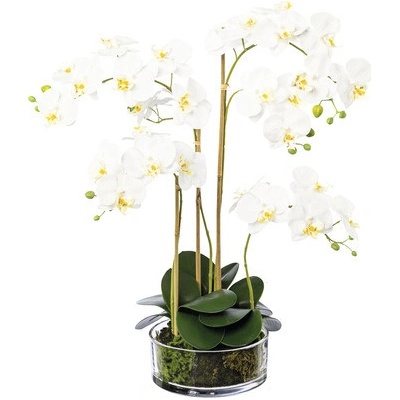 Umelá kvetina orchidea phalaenopsis v skle 50 cm biela