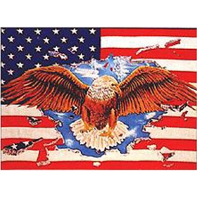 Vlajka USA EAGLE