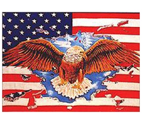 Vlajka USA EAGLE