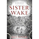 Sister Wake - Dave Rudden