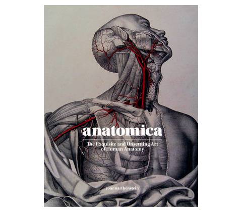 Anatomica