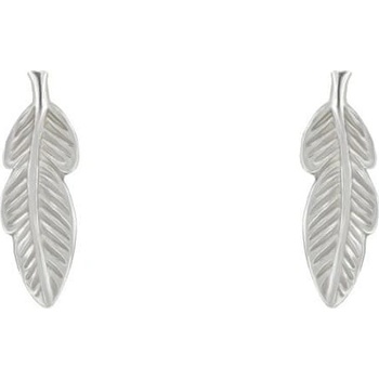 Eppi strieborné náušnice Feather E36626