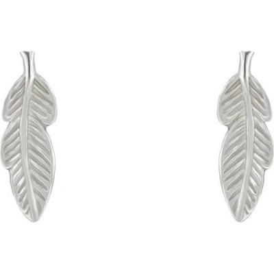 Eppi strieborné náušnice Feather E36626