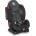Lorelli Bertoni F2 SPS