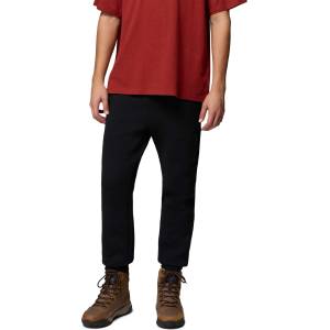 Columbia Панталон Agate Rock Jogger (2173531-010)