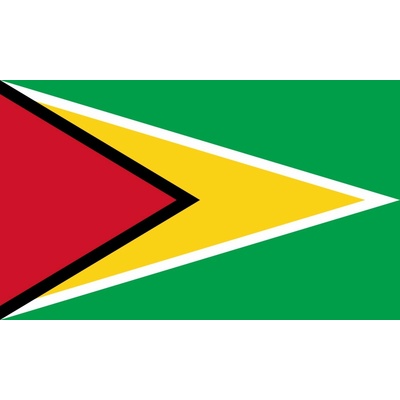 Guyana vlajka - 30 x 45 cm - tunel, karabina