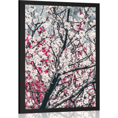 Plakát květiny broskve - 40x60 no frame