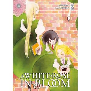 white rose in bloom | Asumiko Nakamura (2025)